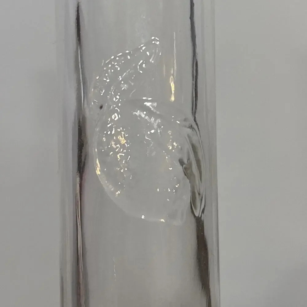 Test Tube Embossed Lemon Peach Fruit Bud Glass Vase Signed Les Verres Lot Of 2